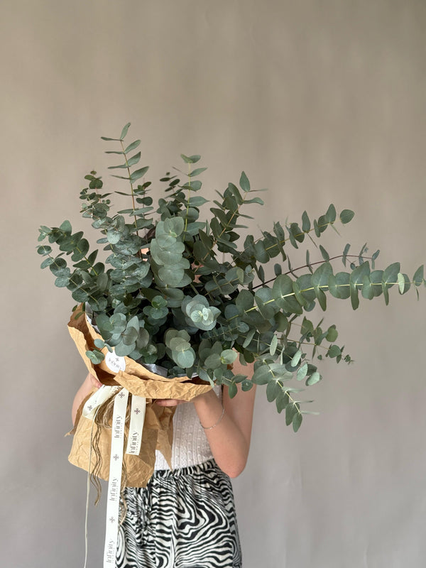 Flower bouquet of eucalyptus