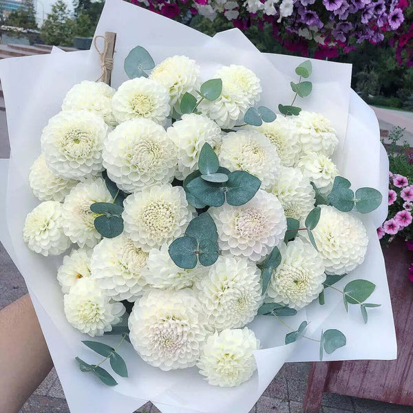 Flower bouquet with 19 Dahlia and eucalyptus