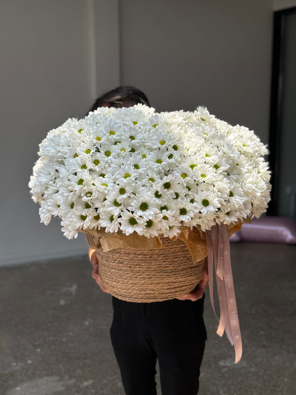 Flower VIP pot with 40 chrysanthemum